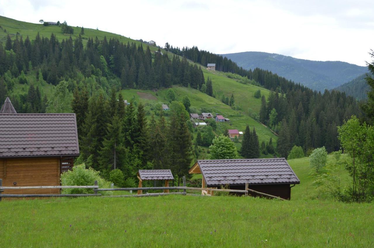 Пагорб Їжака / Hedgehog Hill Villa Яблуниця Екстериор снимка